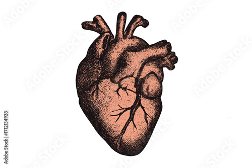Human heart anatomy illustration vector. Retro halftone dot style. Vintage organ medical science symbol. Health cardiology icon. Stippling texture grunge effect isolated.
