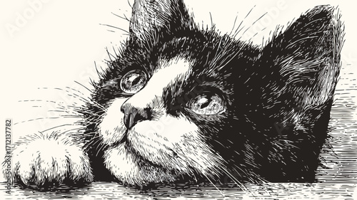 Hand Drawn Cute Cat Portrait Ink Sketch Engraving