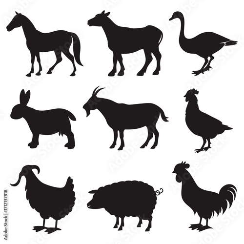 Animal vector, Animal design, Animal concept, Animal post, Animal cartoon, Animal icon, Animal template, Animal art, Animal topics, Animal doodle, Animal clipart