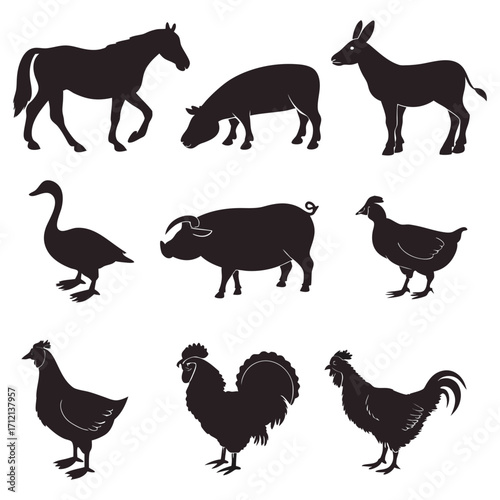 Animal vector, Animal design, Animal concept, Animal post, Animal cartoon, Animal icon, Animal template, Animal art, Animal topics, Animal doodle, Animal clipart