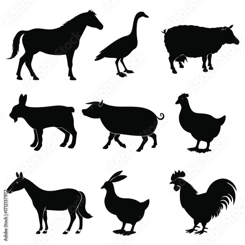 Animal vector, Animal design, Animal concept, Animal post, Animal cartoon, Animal icon, Animal template, Animal art, Animal topics, Animal doodle, Animal clipart