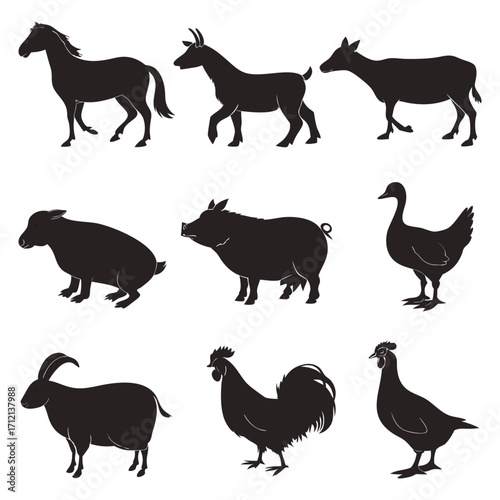 Animal vector, Animal design, Animal concept, Animal post, Animal cartoon, Animal icon, Animal template, Animal art, Animal topics, Animal doodle, Animal clipart