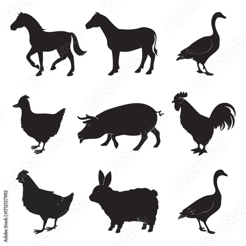 Animal vector, Animal design, Animal concept, Animal post, Animal cartoon, Animal icon, Animal template, Animal art, Animal topics, Animal doodle, Animal clipart
