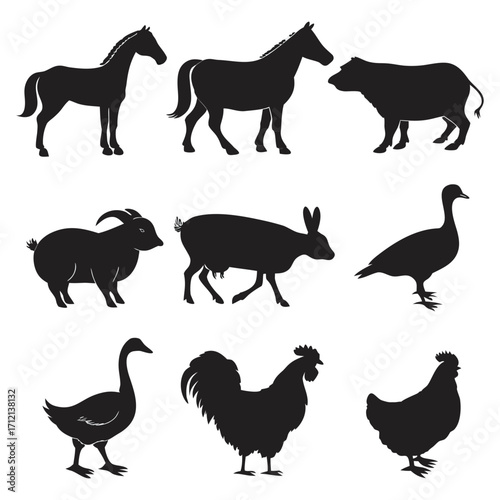 Animal vector, Animal design, Animal concept, Animal post, Animal cartoon, Animal icon, Animal template, Animal art, Animal topics, Animal doodle, Animal clipart