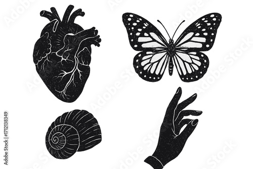 Vintage retro aesthetic summer vibes with detailed human heart, butterfly, sea shell, and elegant female hand illustrations, textured Y2K photocopy effect art