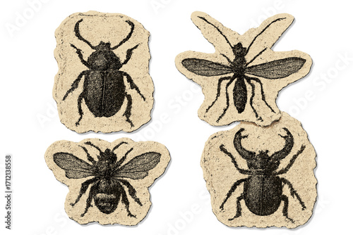 Vintage textured bug illustrations with grunge halftone effect on torn paper stickers, retro Y2K insect collage art, bitmap grain punk aesthetic, vector cartoon design set