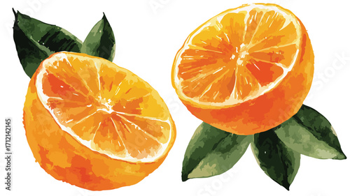 Vibrant Fresh Orange Watercolor Slices on White Background