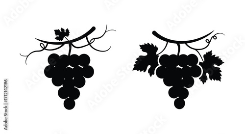 Simple black and white illustration of two bunches of grapes on vines