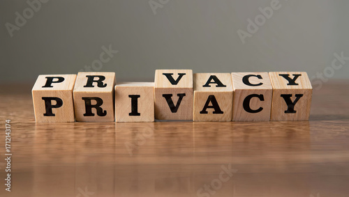 Privacy Explained AI Insights from google import genai