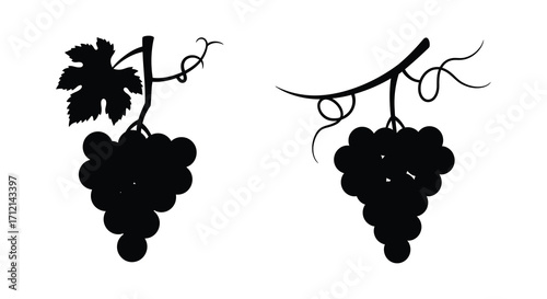 Black silhouette illustration of two bunches of ripe grapes hanging down