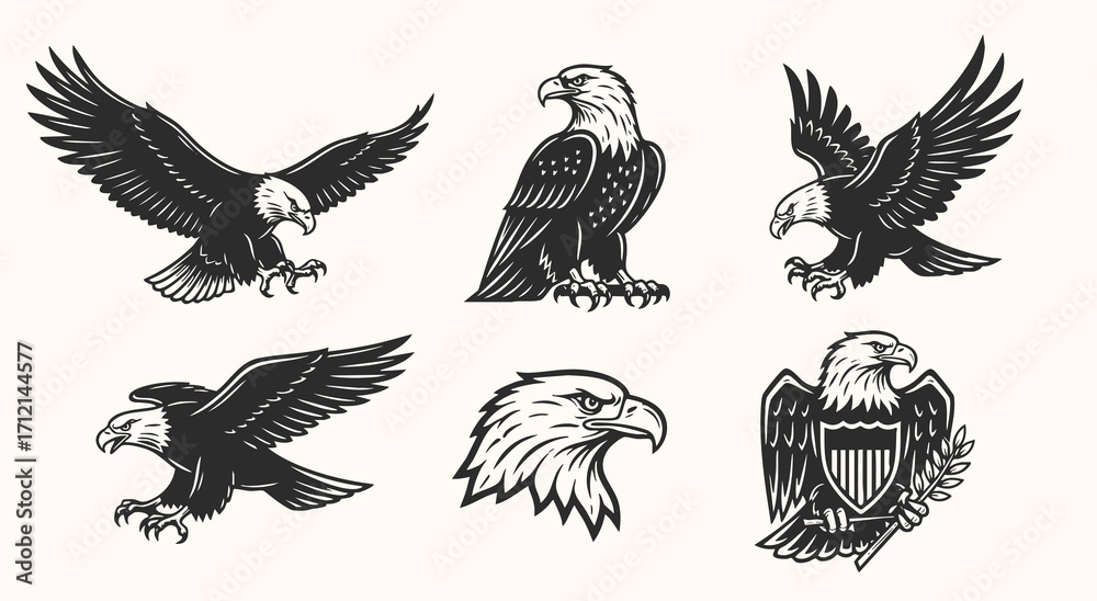Fototapeta premium Eagle bird set bundle vector silhouette illustration isolated on a white background