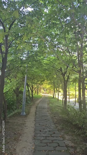 path in the park