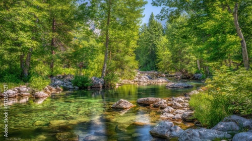 stream. Sunlit forest stream with dappled light reflecting off crystal clear water over rocks. travel magazines, destination branding, designed for travel destination branding, used by researchers.
