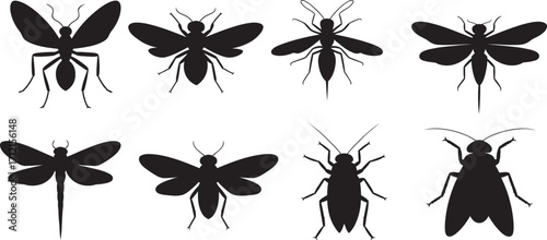 Black silhouettes of eight different insects on a white background vector