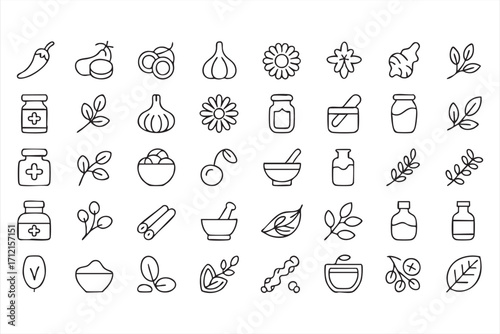 Herbs and spices vector icons set with garlic, chili, leaves and natural medicine symbols
