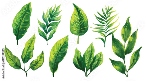 Lush Green Tropical Jungle Foliage Background for Design Projects