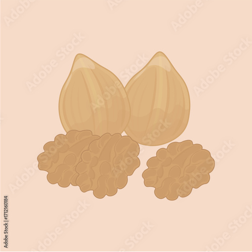 Illustration of brown walnuts and their contents which are also light brown