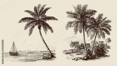 Vintage Island Illustration Set with Palm Trees for Creative Projects