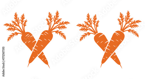 Two pairs of orange carrots form the letter x in a simple design