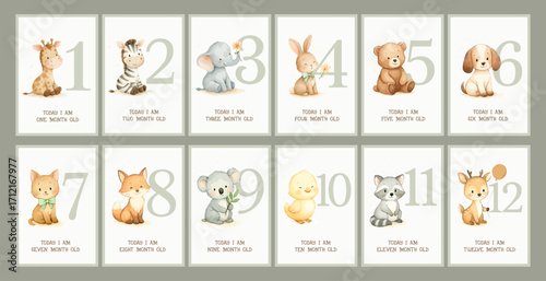Baby Milestone Animals 1 to 12 Months Watercolor Set.