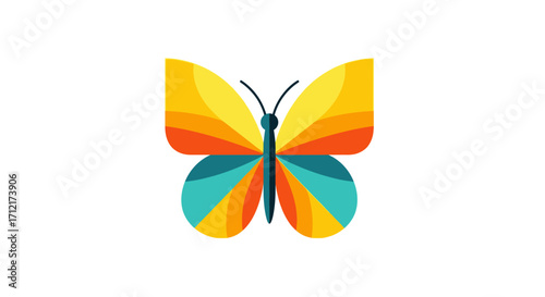 Colorful Butterfly with Geometric Pattern Wings.