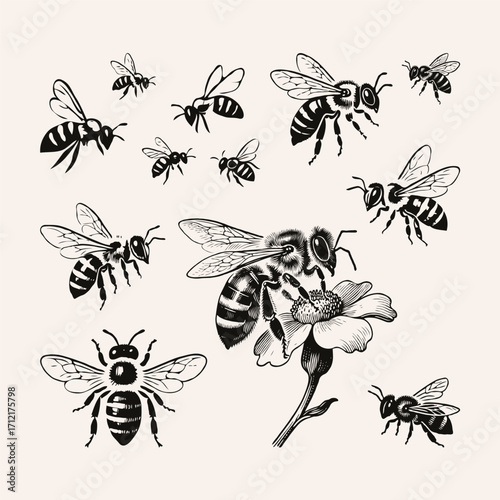 Multiple bees in detailed black ink style on light background, featuring one bee on a flower, concept of nature and pollination