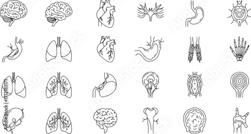 Medical Anatomy Outline Icons – Brain, Heart, Lungs, Stomach, Nerves, Skeleton, Hand Bones, Eye, Spine, Reproductive System, Human Body Biology Vector Set