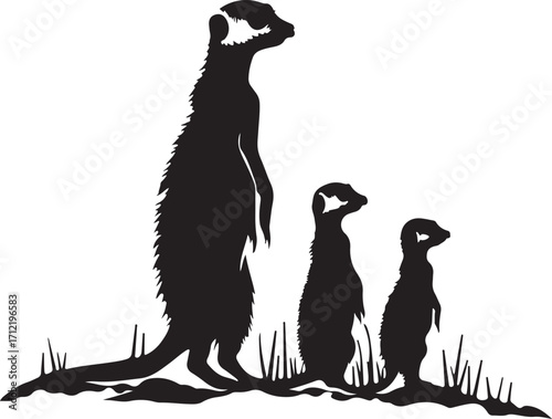 Alert meerkats stand guard in silhouette