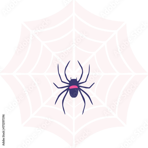 spider and web