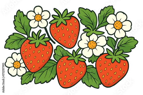 Strawberry fruit vector illustration. Summer berry with flowers and leaves. Healthy food cartoon design. Organic garden plant. Sweet natural dessert. Fresh red strawberries.