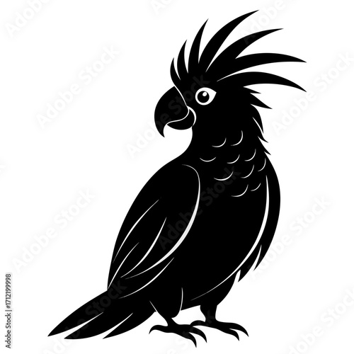 Cockatoo vector clean black silhouette design white background