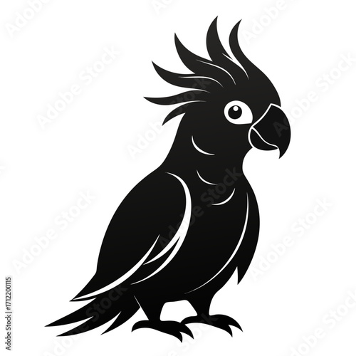 Cockatoo vector clean black silhouette design white background