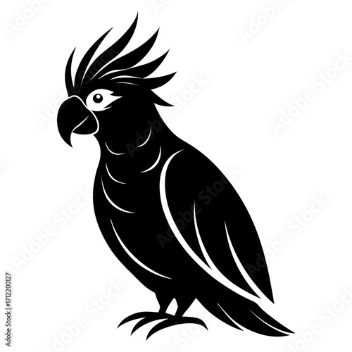 Cockatoo vector clean black silhouette design white background