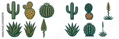 Diverse collection of desert plants featuring saguaro, prickly pear, barrel cactus, and agave with aloe vera
