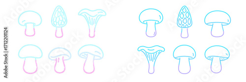 Variety of mushroom outline icons including button, morel, and chanterelle fungi with modern gradient color scheme