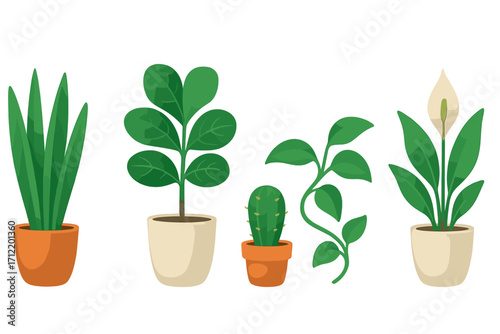 Assortment of different potted houseplants and indoor greenery including a peace lily and cactus on a clean white background