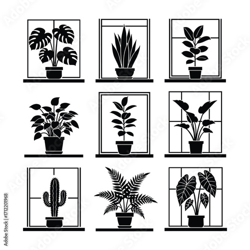 Nine potted houseplants silhouetted in window frames on white background potted plant indoor plant