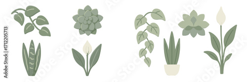 Stylized set of popular indoor plants like succulents, peace lilies, and snake plants for home decoration