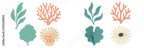 Vibrant stylized marine life elements featuring coral, seaweed, and anemone in a layered paper art effect