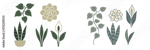 Assortment of stylized house plants including snake plant, peace lily, succulent, and leafy vines, perfect for interior design and botanical themes