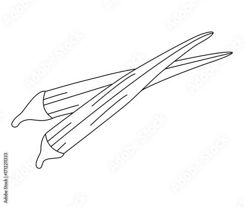  Cute cartoon hand drawn vector lady finger outline.