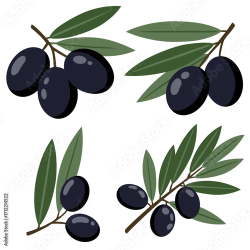 Hand-drawn illustration of olives branches set. Colored flat cartoon vector illustration isolated on white background. Concept of nature, healthy food, farm vegetables, natural oils