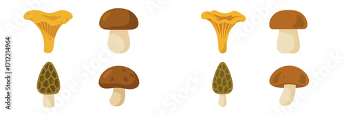 Assortment of edible wild mushrooms including chanterelles, porcini, and morels on a white background