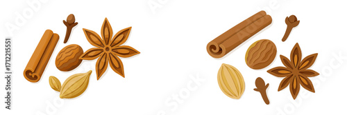 Assortment of aromatic culinary spices such as cinnamon sticks, star anise, cloves, nutmeg, and cardamom pods