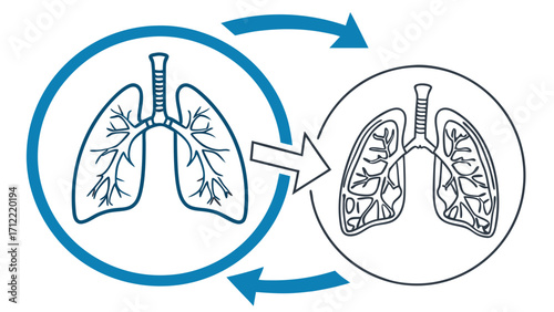 Lung Health Cycle Blue to Black Lungs with Arrows Indicating Change