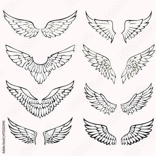 Collection of Vector Illustrations Various Angel Wing Designs and Decorative Wing Elements