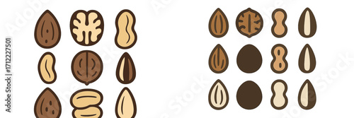 A diverse and nutritious assortment of various healthy nuts and seeds including almonds, walnuts, peanuts, macadamia, and cashews, rich in protein