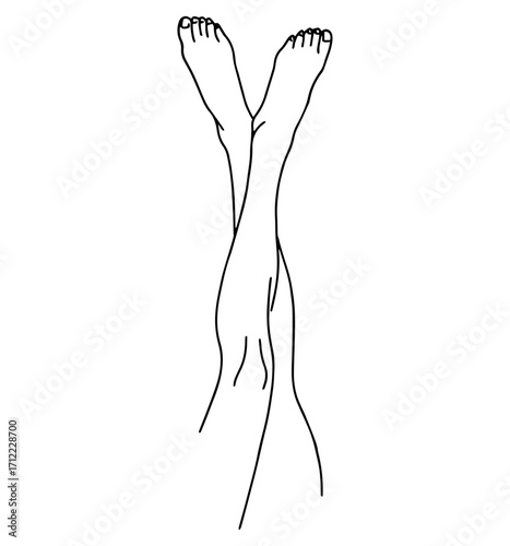 Female aesthetic legs drawn by hand in line art style