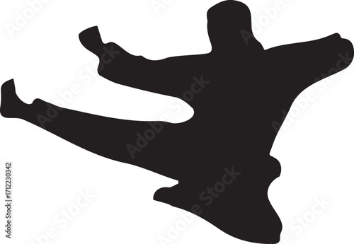 Dynamic Martial Arts Fighter Performing A High Kick Silhouette