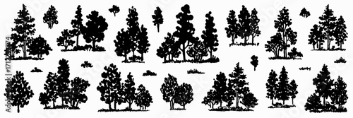 Trees sketch set. Hand drawn graphic forest black silhouette. Composition of different trees, shrubs and grass isolated on white background. Vector illustration